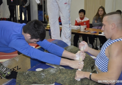 _AAA4864 (Копировать)