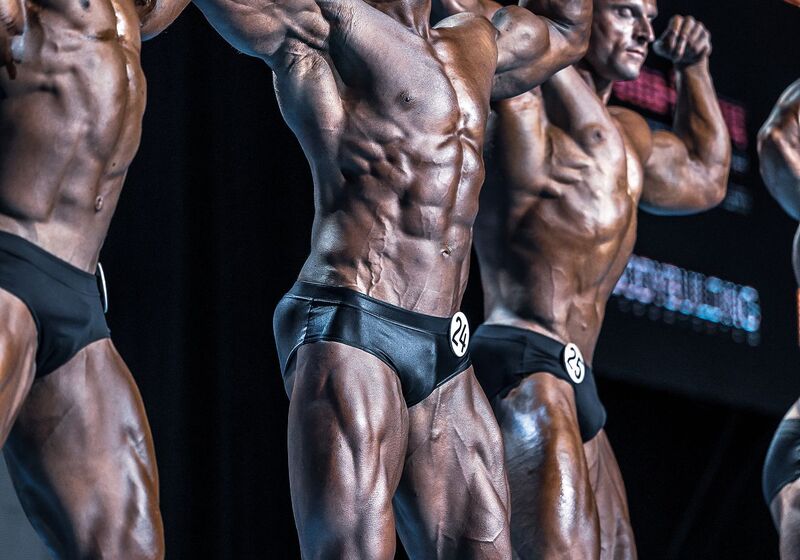 SNPRO EXPO 241